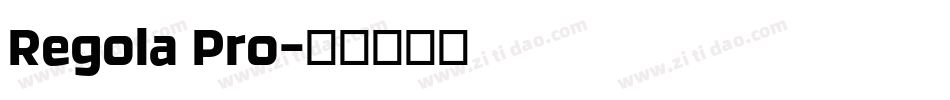 Regola Pro字体转换